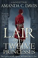 Lair of the Twelve Princesses cover